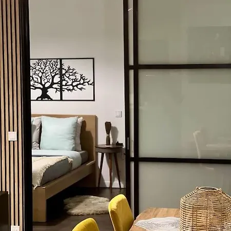 Apartment Grande Terrasse Proche De Centre Tours